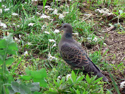 f0086169_834838.jpg