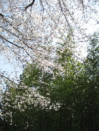 c0038170_16165126.jpg