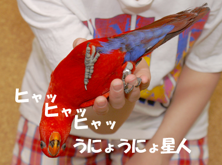 c0004078_0185280.jpg