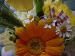 c0072379_2128022.jpg