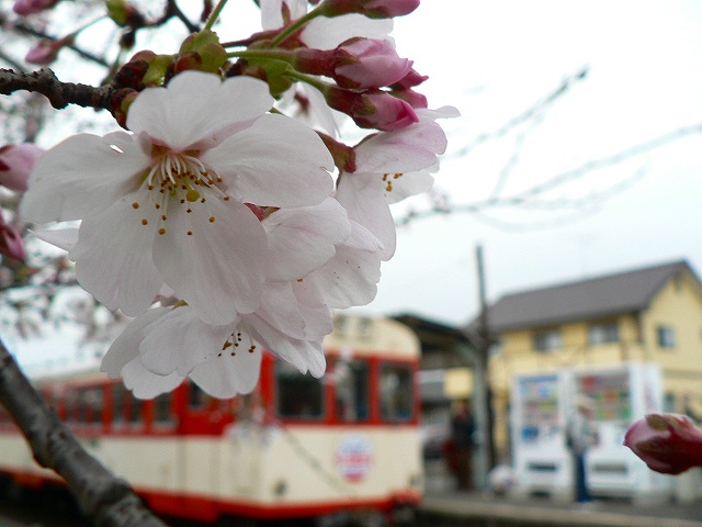 f0051679_22593558.jpg