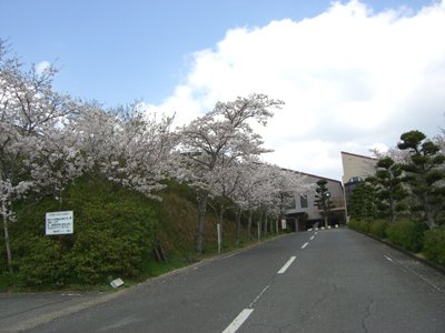 e0070880_17502519.jpg