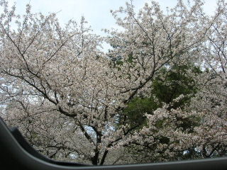 a0045688_12051.jpg