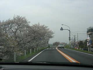 a0045688_17040.jpg