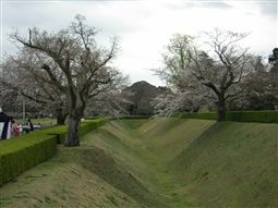 b0003089_23504860.jpg