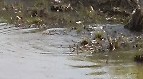 b0035391_10451724.jpg