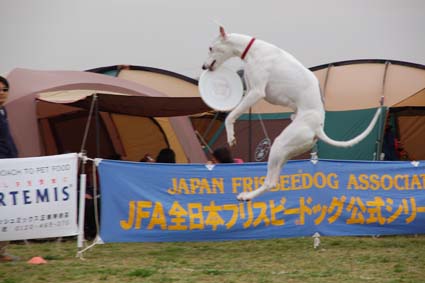 f0094391_22514183.jpg