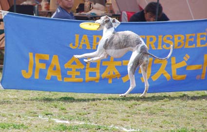 f0094391_23101341.jpg