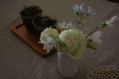 d0100192_041793.gif