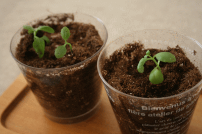 d0100192_0441096.gif