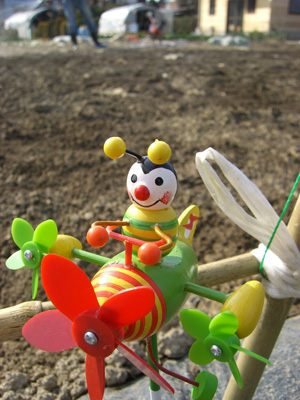 f0070493_0202272.jpg
