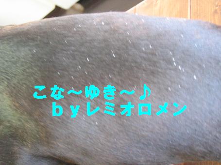 c0092097_23403650.jpg