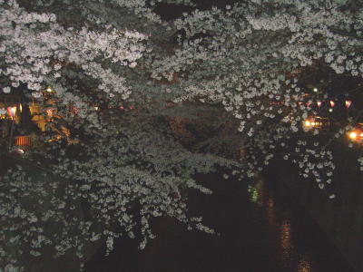 f0098697_1655392.jpg