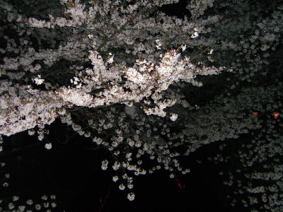 f0098697_16583020.jpg