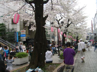 f0098697_17175148.jpg