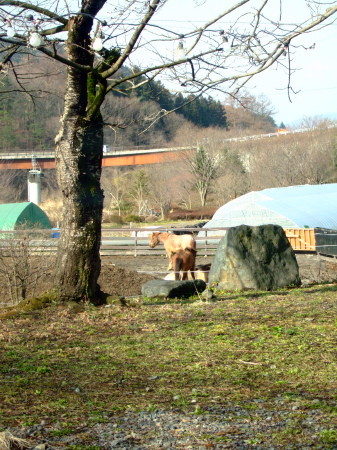 c0044199_15131933.jpg
