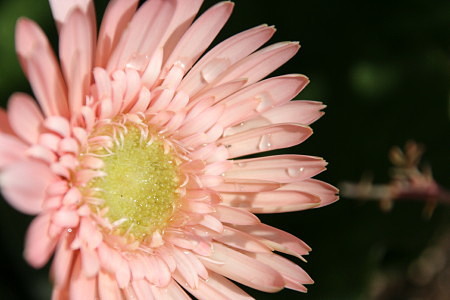 c0044199_15163067.jpg