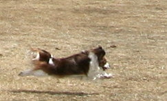 c0044199_15223611.jpg