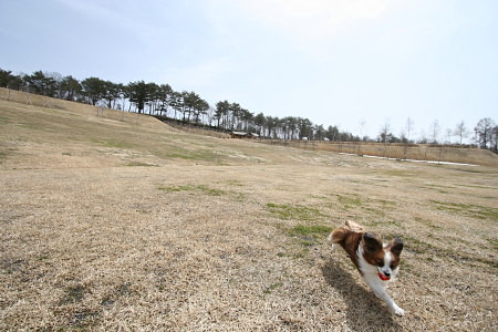 c0044199_15245858.jpg
