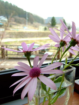 c0044199_15391690.jpg