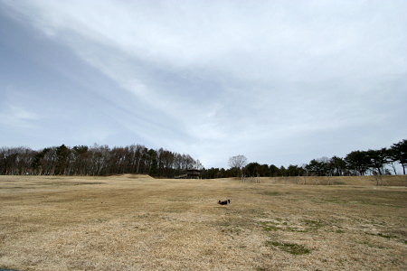 c0044199_15473316.jpg