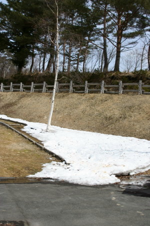 c0044199_1623352.jpg