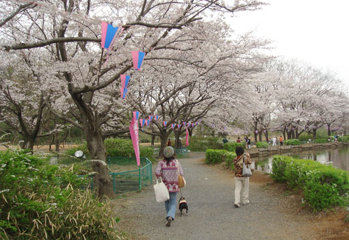 c0094999_5122857.jpg