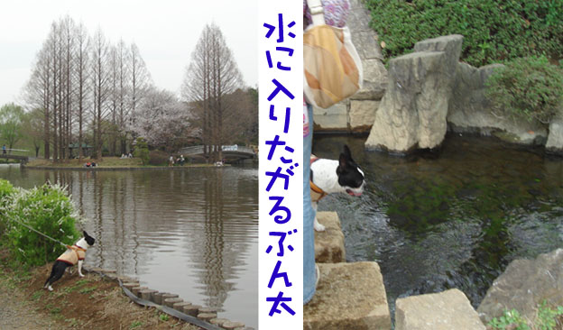 c0094999_5171021.jpg