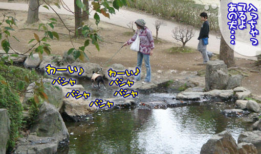 c0094999_5201316.jpg