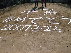d0077699_1154334.jpg