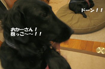 c0050400_19103215.jpg