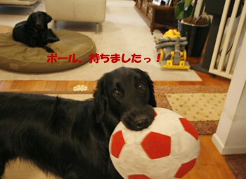 c0050400_19104399.jpg