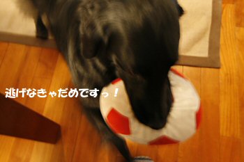 c0050400_19105635.jpg
