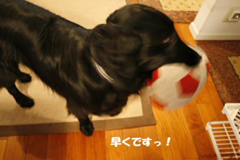 c0050400_1911833.jpg