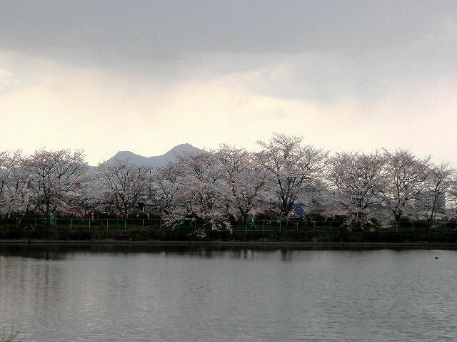 f0083400_21535268.jpg