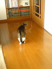 c0035001_17162987.jpg