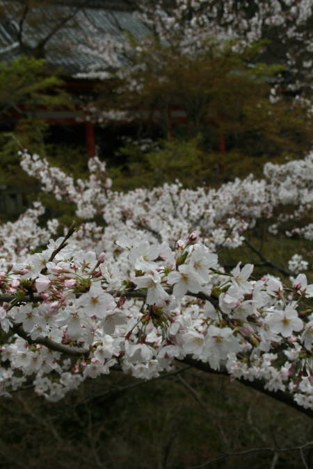 f0031304_064975.jpg