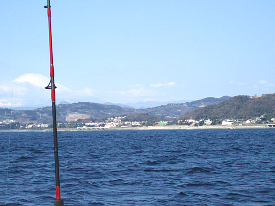 c0006017_2461056.jpg