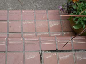 f0059818_1122180.jpg
