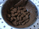 a0062324_23342515.jpg