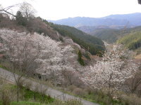 e0009324_024643.jpg