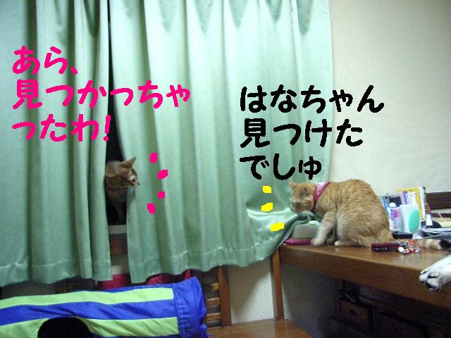 d0081025_2214134.jpg