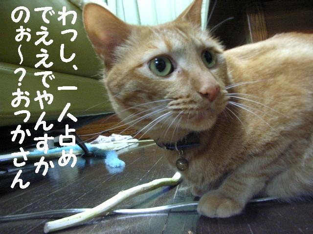 d0081025_22145818.jpg