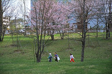 a0046429_9242233.jpg