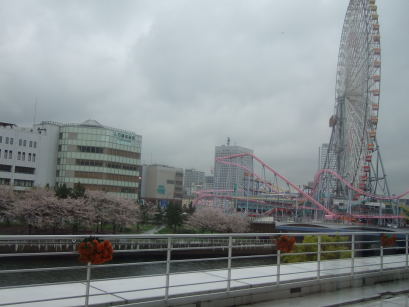 d0046031_23444024.jpg
