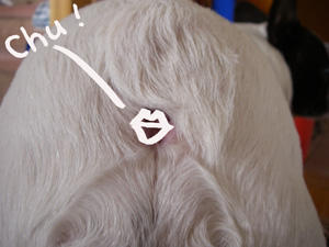 e0008833_13292480.jpg