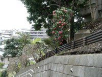 e0080345_1824405.jpg