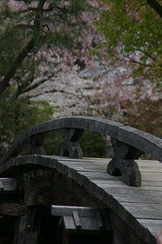 f0094045_1957691.jpg