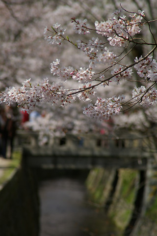 f0094045_20111147.jpg