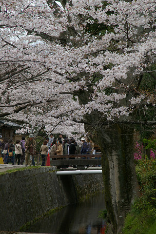 f0094045_20132943.jpg